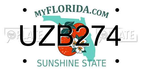 UZB274 Florida License Plate
