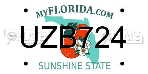 UZB724 Florida License Plate