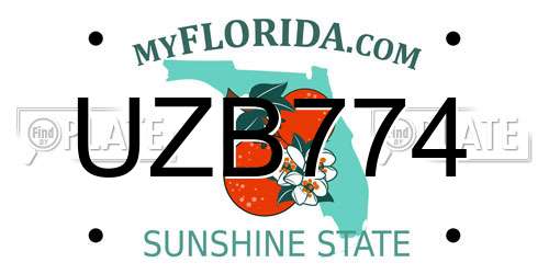 UZB774 Florida License Plate