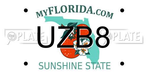 UZB8 Florida License Plate