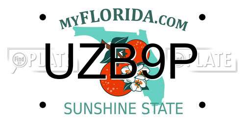 UZB9P Florida License Plate