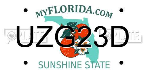 UZG23D Florida License Plate