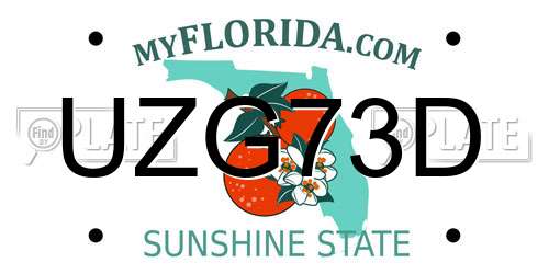 UZG73D Florida License Plate