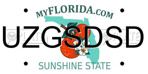 UZGSDSD Florida License Plate