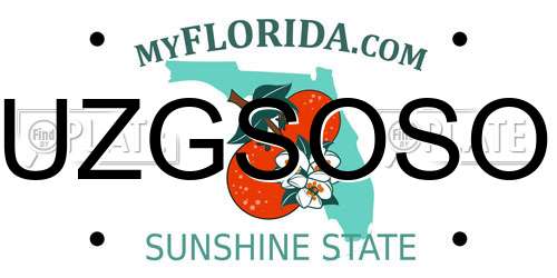 UZGSOSO Florida License Plate