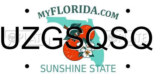 UZGSQSQ Florida License Plate