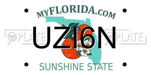 UZI6N Florida License Plate