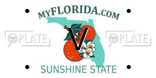 V Florida License Plate