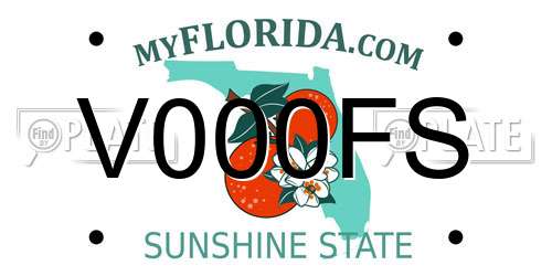 V000FS Florida License Plate