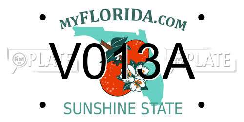 V013A Florida License Plate