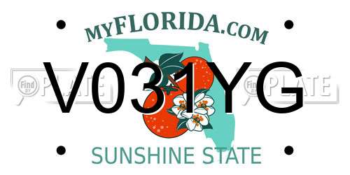V031YG Florida License Plate