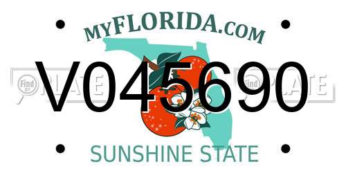 V045690 Florida License Plate