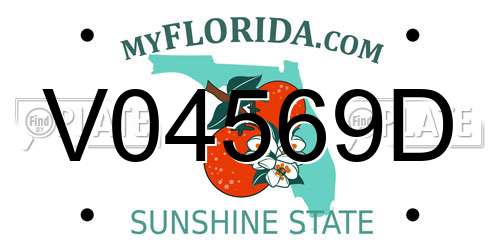 V04569D Florida License Plate
