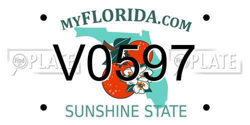 V0597 Florida License Plate