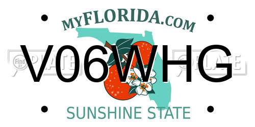 V06WHG Florida License Plate