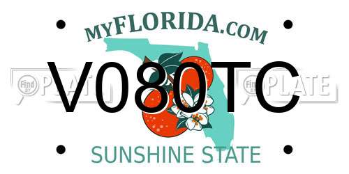 V080TC Florida License Plate
