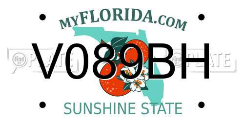 V089BH Florida License Plate