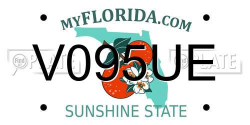 V095UE Florida License Plate