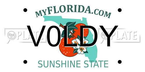 V0LDY Florida License Plate