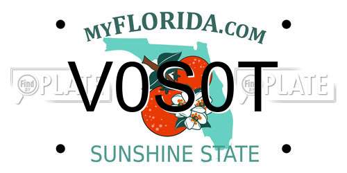 V0S0T Florida License Plate