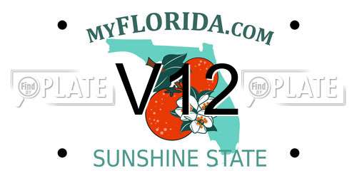 V12 Florida License Plate