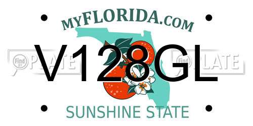 V128GL Florida License Plate