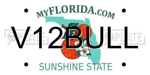 V12BULL Florida License Plate