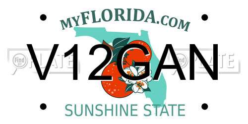 V12GAN Florida License Plate