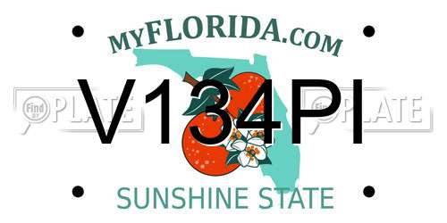 V134PI Florida License Plate