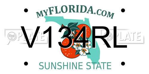 V134RL Florida License Plate