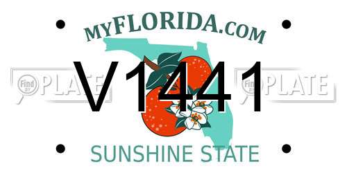 V1441 Florida License Plate