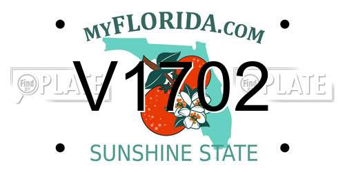 V1702 Florida License Plate