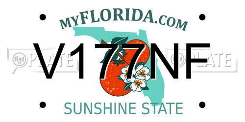 V177NF Florida License Plate