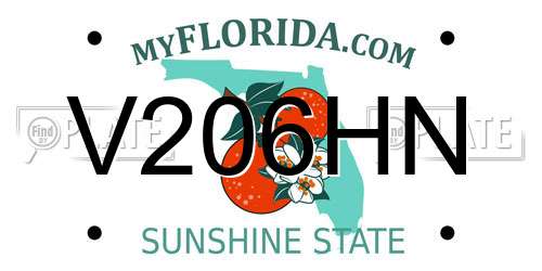 V206HN Florida License Plate