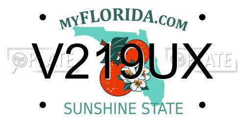 V219UX Florida License Plate