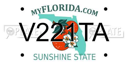 V221TA Florida License Plate