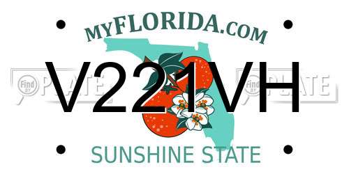 V221VH Florida License Plate