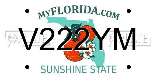 V222YM Florida License Plate