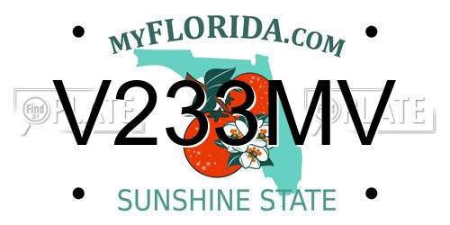 V233MV Florida License Plate