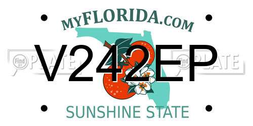 V242EP Florida License Plate