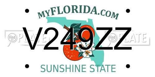 V249ZZ Florida License Plate