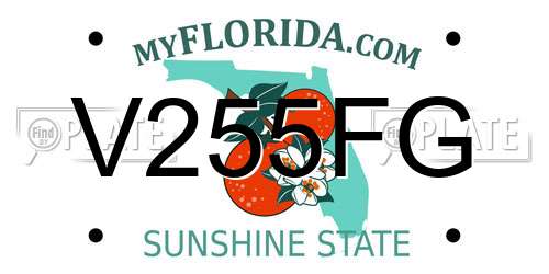 V255FG Florida License Plate