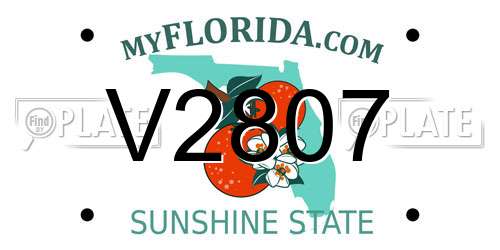 V2807 Florida License Plate