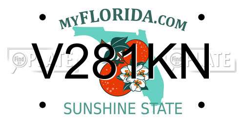 V281KN Florida License Plate