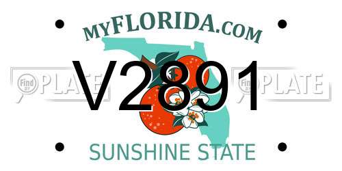 V2891 Florida License Plate