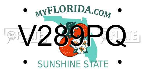 V289PQ Florida License Plate