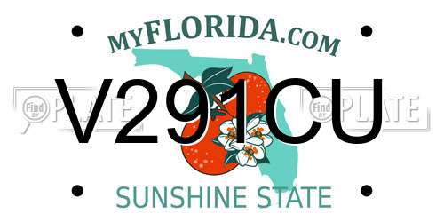 V291CU Florida License Plate