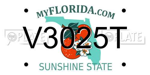 V3025T Florida License Plate