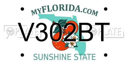 V302BT Florida License Plate
