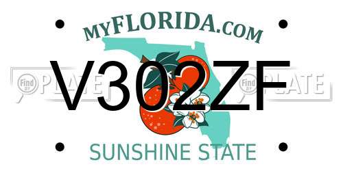 V302ZF Florida License Plate